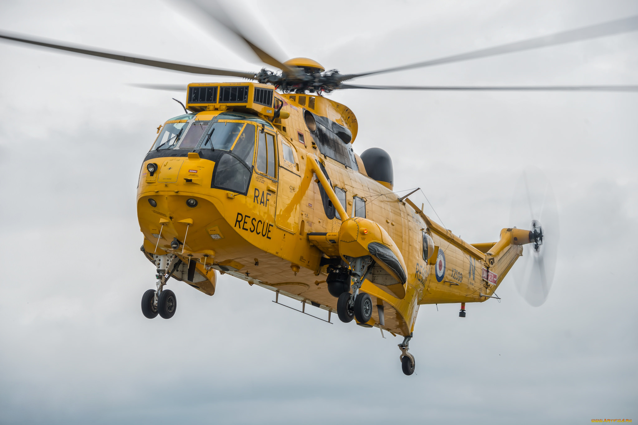 sea king, , , 